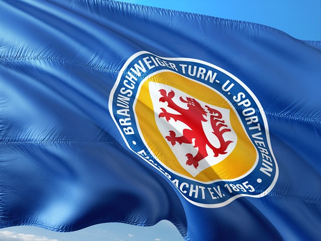 比赛揭示了 比赛揭示了