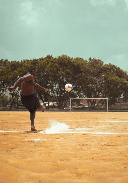 长城保护的 长城保护的